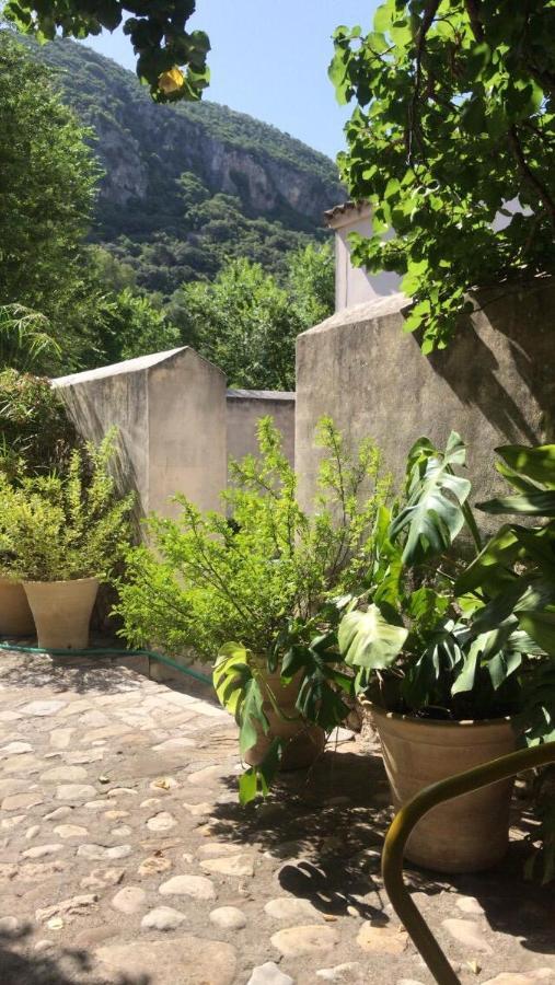 Casa Rural El Vihuelo El Bosque Exterior foto