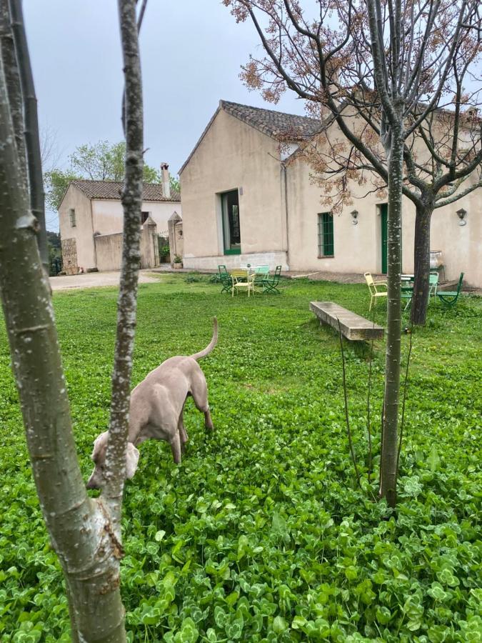 Casa Rural El Vihuelo El Bosque Exterior foto