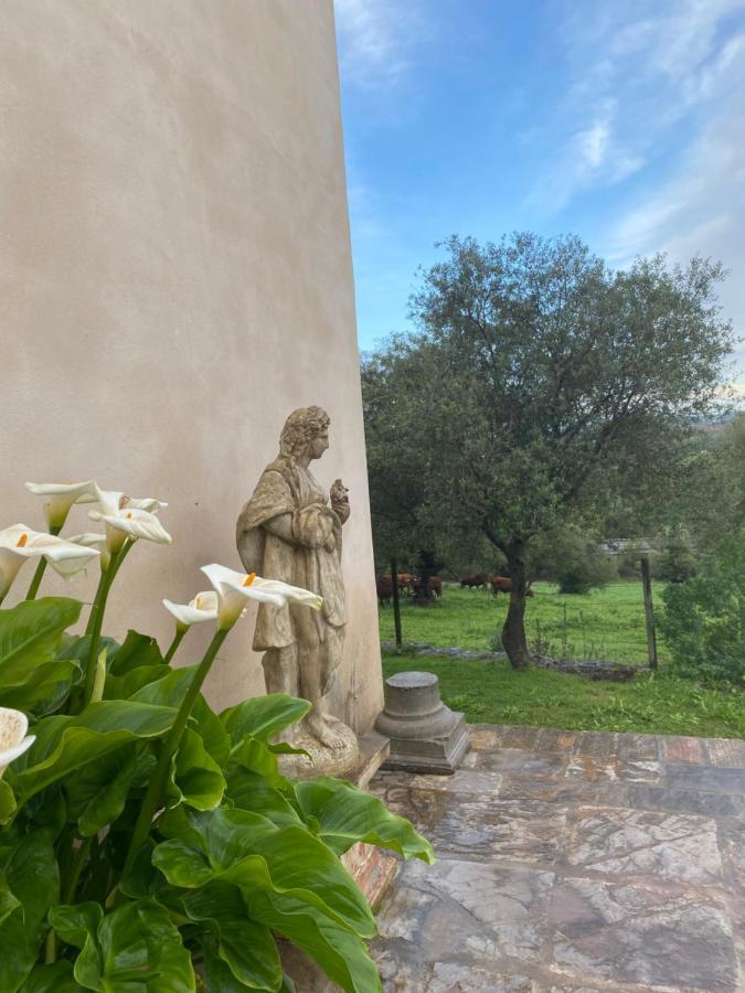 Casa Rural El Vihuelo El Bosque Exterior foto