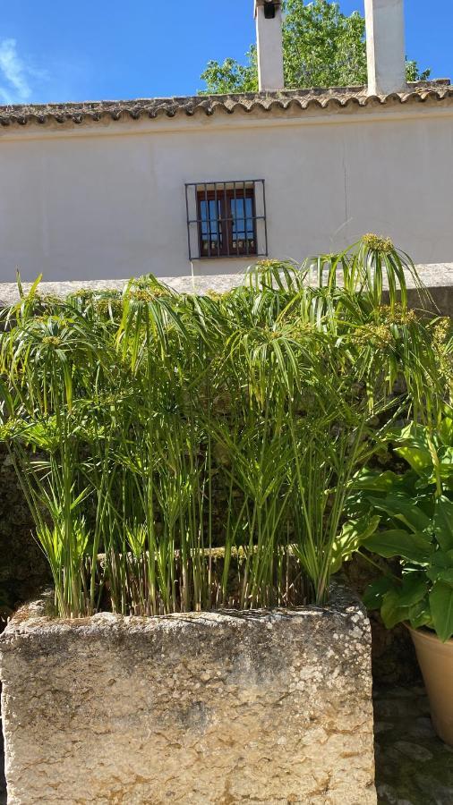 Casa Rural El Vihuelo El Bosque Exterior foto