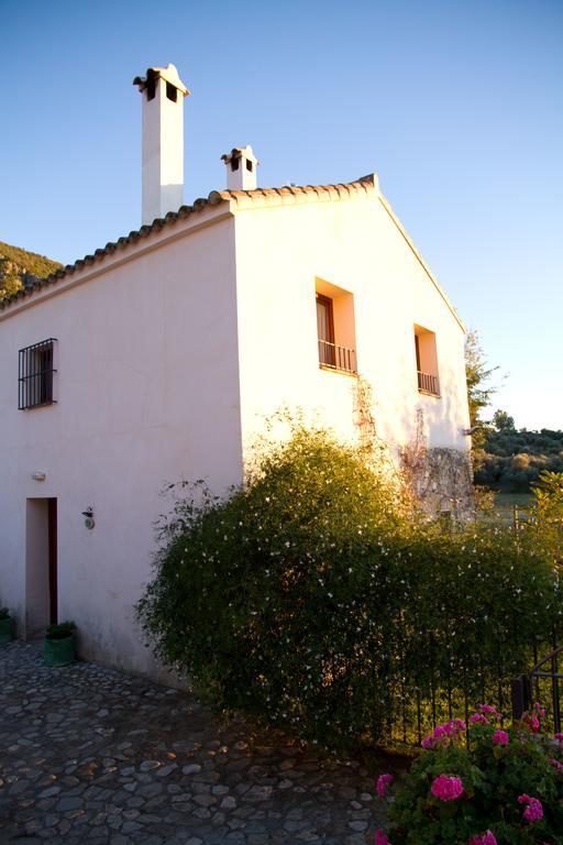 Casa Rural El Vihuelo El Bosque Exterior foto