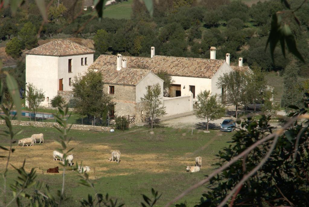 Casa Rural El Vihuelo El Bosque Exterior foto
