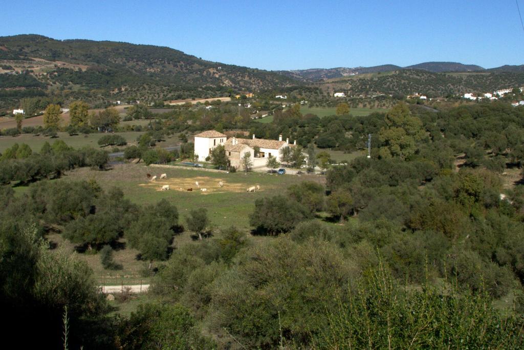 Casa Rural El Vihuelo El Bosque Exterior foto